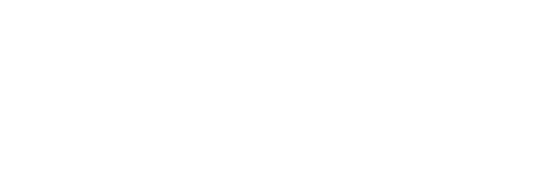 grupo_gnera_web